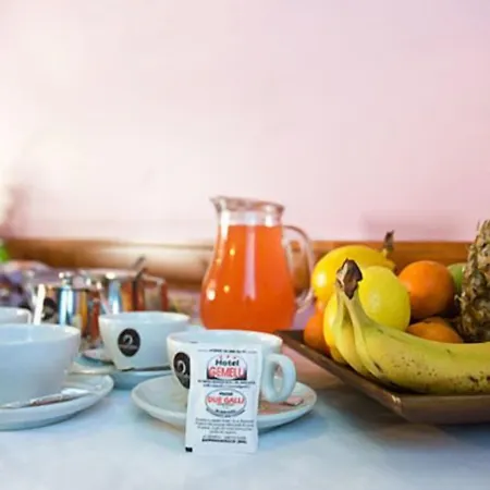 Gemelli 3* Bagnacavallo