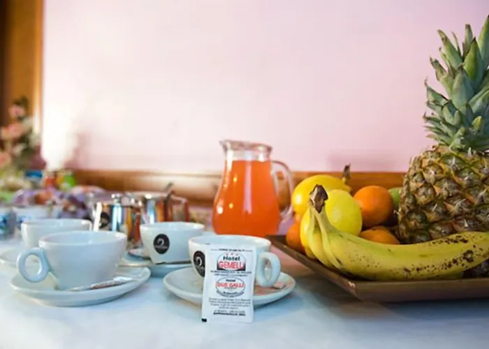 Gemelli 3* Bagnacavallo